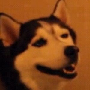 Meet your Posher, Chantel